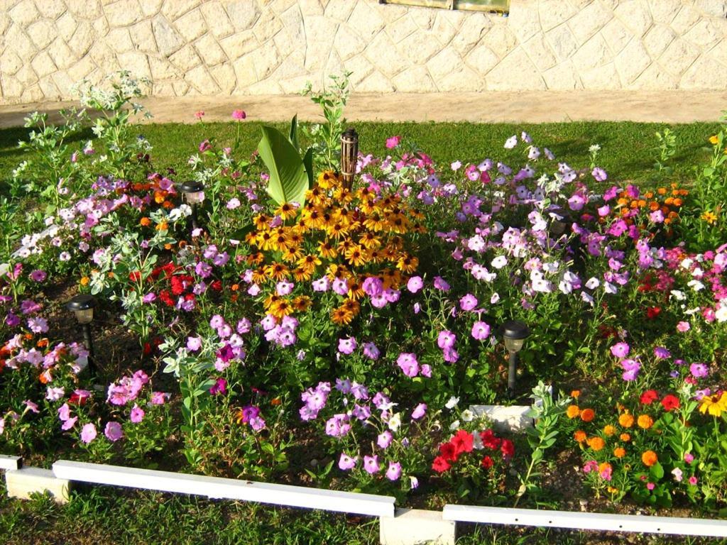 شقة Odmor Na Selu Babajic Ljig المظهر الخارجي الصورة